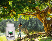 Load image into Gallery viewer, Premium Grade CBD Gummies