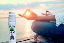 Load image into Gallery viewer, CBD Pain Rub